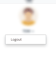 The menu under your picture with its Logout item